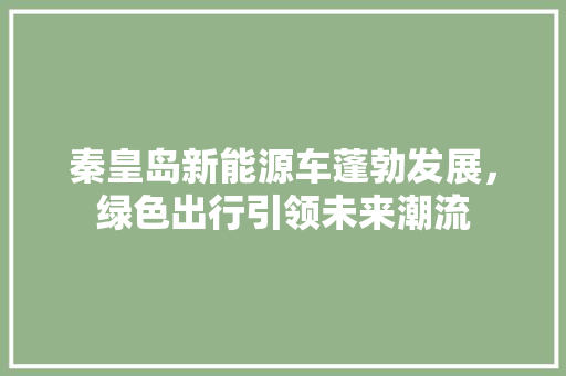 秦皇岛新能源车蓬勃发展，绿色出行引领未来潮流 汽车展览