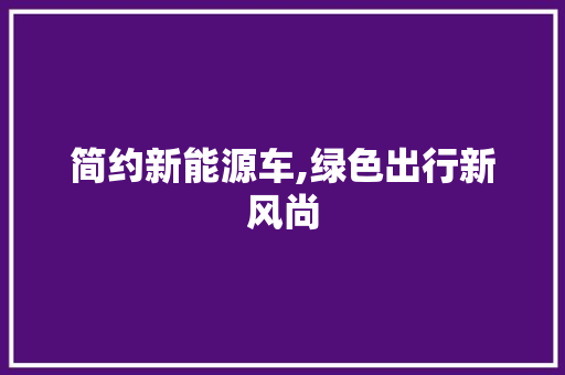 简约新能源车,绿色出行新风尚