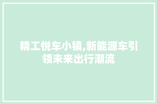 精工悦车小镇,新能源车引领未来出行潮流