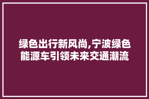 绿色出行新风尚,宁波绿色能源车引领未来交通潮流