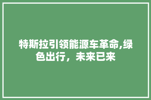 特斯拉引领能源车革命,绿色出行，未来已来