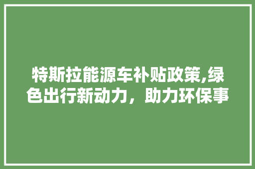 特斯拉能源车补贴政策,绿色出行新动力，助力环保事业迈向新高峰