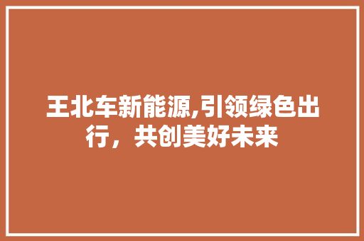 王北车新能源,引领绿色出行，共创美好未来