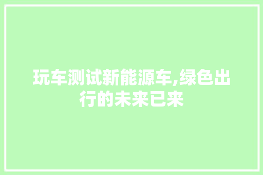 玩车测试新能源车,绿色出行的未来已来