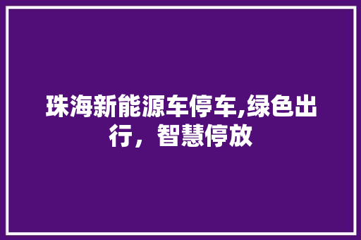 珠海新能源车停车,绿色出行，智慧停放 汽车轮胎