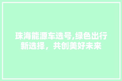 珠海能源车选号,绿色出行新选择，共创美好未来 新能源汽车