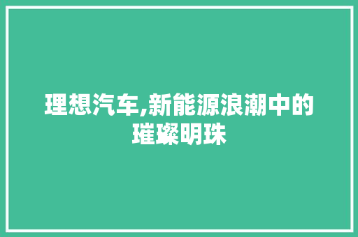 理想汽车,新能源浪潮中的璀璨明珠