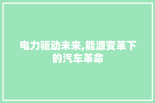 电力驱动未来,能源变革下的汽车革命