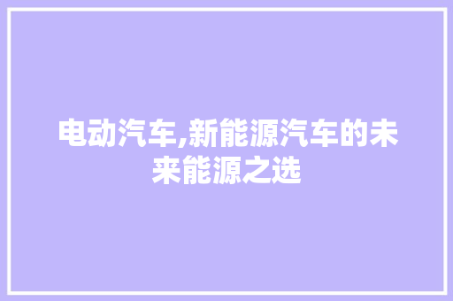 电动汽车,新能源汽车的未来能源之选
