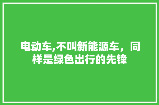 电动车,不叫新能源车，同样是绿色出行的先锋