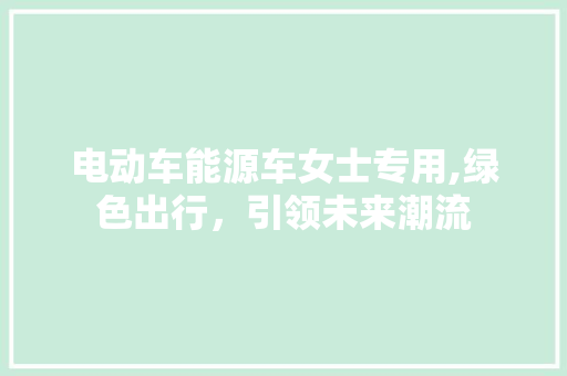电动车能源车女士专用,绿色出行，引领未来潮流 汽车配件