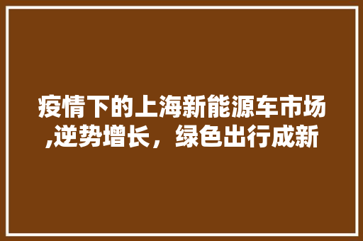 疫情下的上海新能源车市场,逆势增长，绿色出行成新趋势 混合动力车