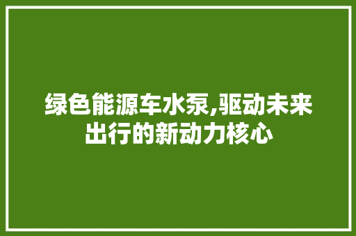 绿色能源车水泵,驱动未来出行的新动力核心