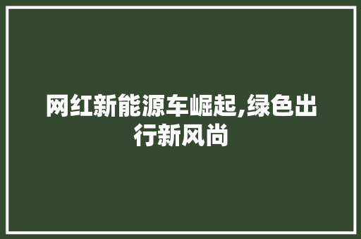 网红新能源车崛起,绿色出行新风尚