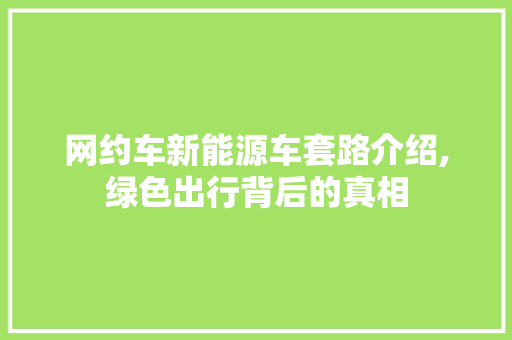 网约车新能源车套路介绍,绿色出行背后的真相