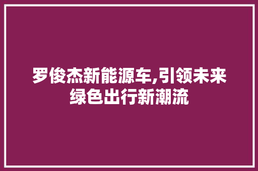 罗俊杰新能源车,引领未来绿色出行新潮流