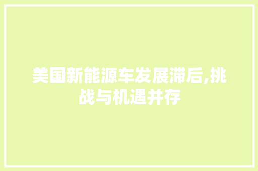 美国新能源车发展滞后,挑战与机遇并存