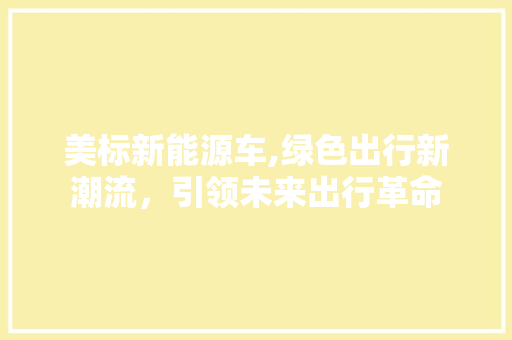 美标新能源车,绿色出行新潮流，引领未来出行革命 车联网技术