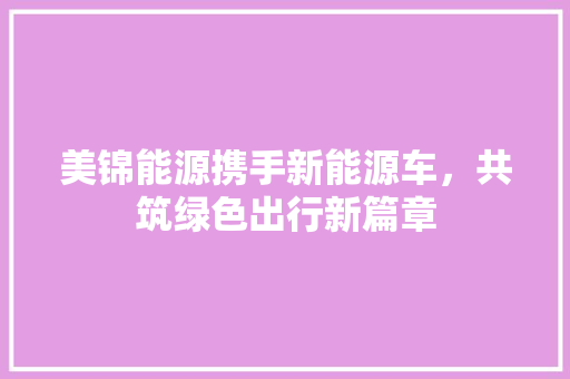 美锦能源携手新能源车，共筑绿色出行新篇章