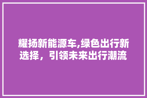耀扬新能源车,绿色出行新选择，引领未来出行潮流 混合动力车