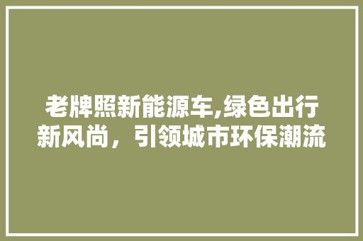 老牌照新能源车,绿色出行新风尚，引领城市环保潮流 车联网技术