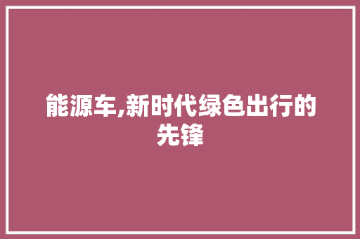 能源车,新时代绿色出行的先锋 新车资讯
