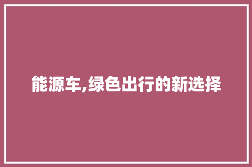 能源车,绿色出行的新选择 新车资讯
