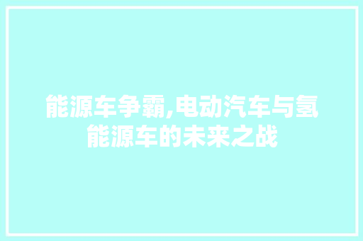 能源车争霸,电动汽车与氢能源车的未来之战