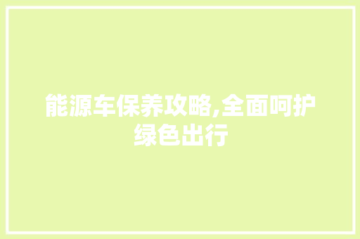 能源车保养攻略,全面呵护绿色出行