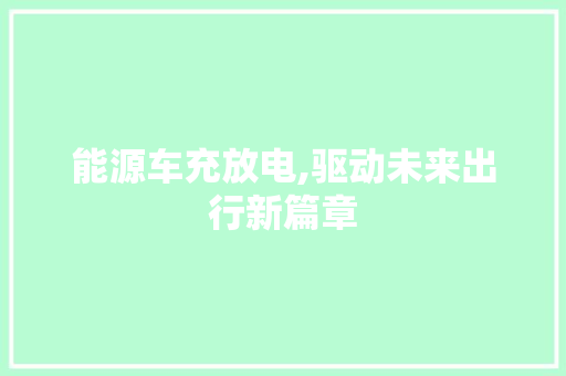 能源车充放电,驱动未来出行新篇章