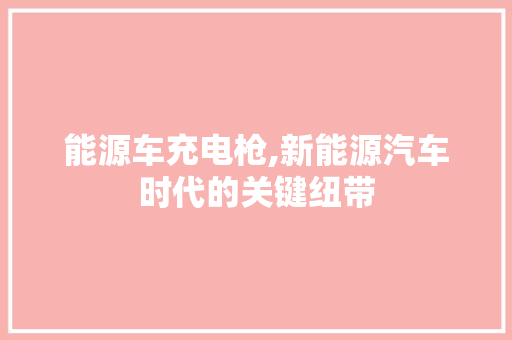 能源车充电枪,新能源汽车时代的关键纽带