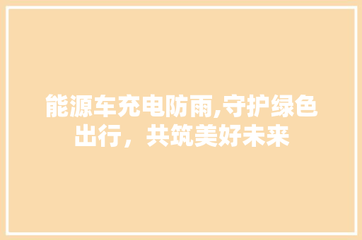 能源车充电防雨,守护绿色出行，共筑美好未来 汽车轮胎