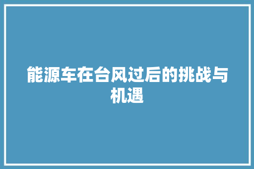 能源车在台风过后的挑战与机遇 智能驾驶