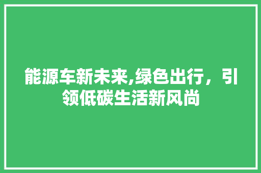 能源车新未来,绿色出行，引领低碳生活新风尚 汽车配件