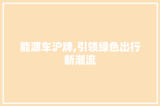 能源车沪牌,引领绿色出行新潮流