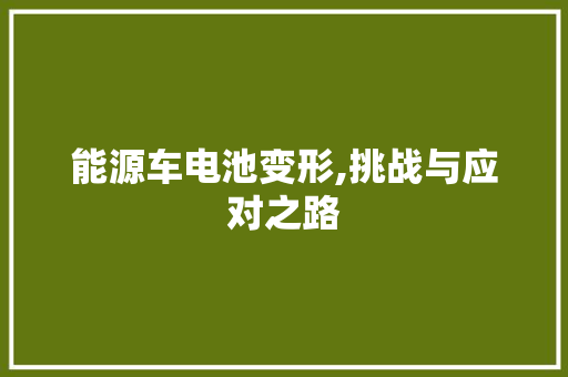 能源车电池变形,挑战与应对之路 车联网技术