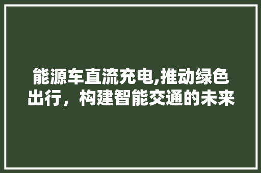 能源车直流充电,推动绿色出行，构建智能交通的未来 汽车配件