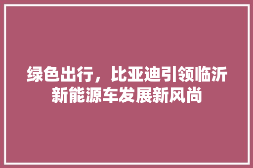 绿色出行，比亚迪引领临沂新能源车发展新风尚