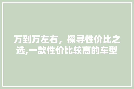 万到万左右，探寻性价比之选,一款性价比较高的车型评测
