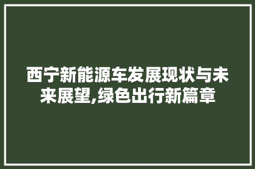 西宁新能源车发展现状与未来展望,绿色出行新篇章 车载导航