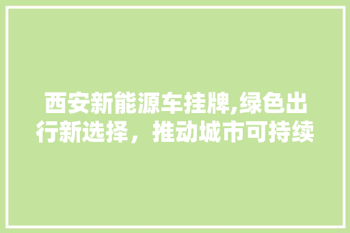 西安新能源车挂牌,绿色出行新选择，推动城市可持续发展