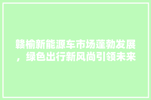 赣榆新能源车市场蓬勃发展，绿色出行新风尚引领未来 自动驾驶