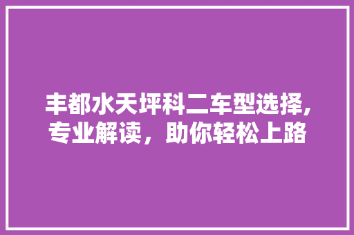 丰都水天坪科二车型选择,专业解读，助你轻松上路