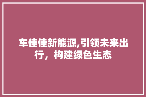 车佳佳新能源,引领未来出行，构建绿色生态
