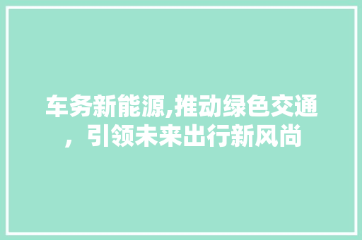 车务新能源,推动绿色交通，引领未来出行新风尚 车载导航