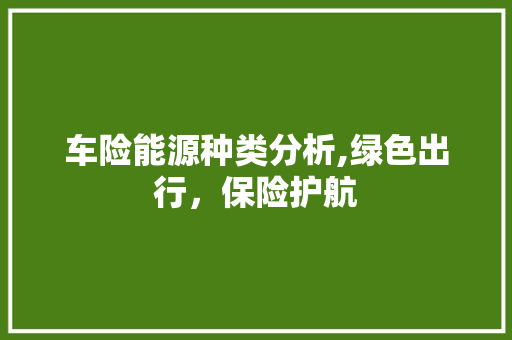 车险能源种类分析,绿色出行，保险护航 新能源汽车