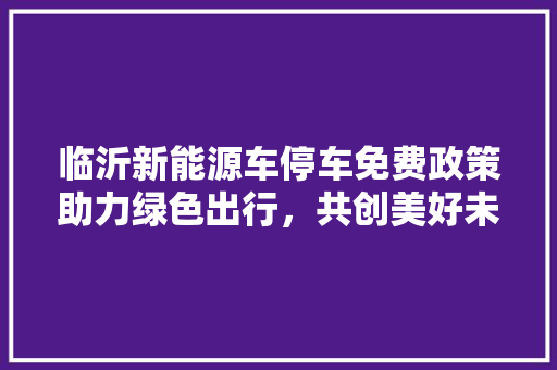 临沂新能源车停车免费政策助力绿色出行，共创美好未来
