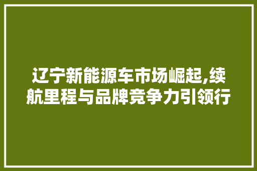 辽宁新能源车市场崛起,续航里程与品牌竞争力引领行业新风向 汽车轮胎