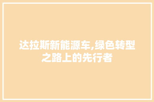 达拉斯新能源车,绿色转型之路上的先行者 车载导航