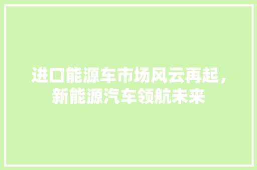 进口能源车市场风云再起，新能源汽车领航未来